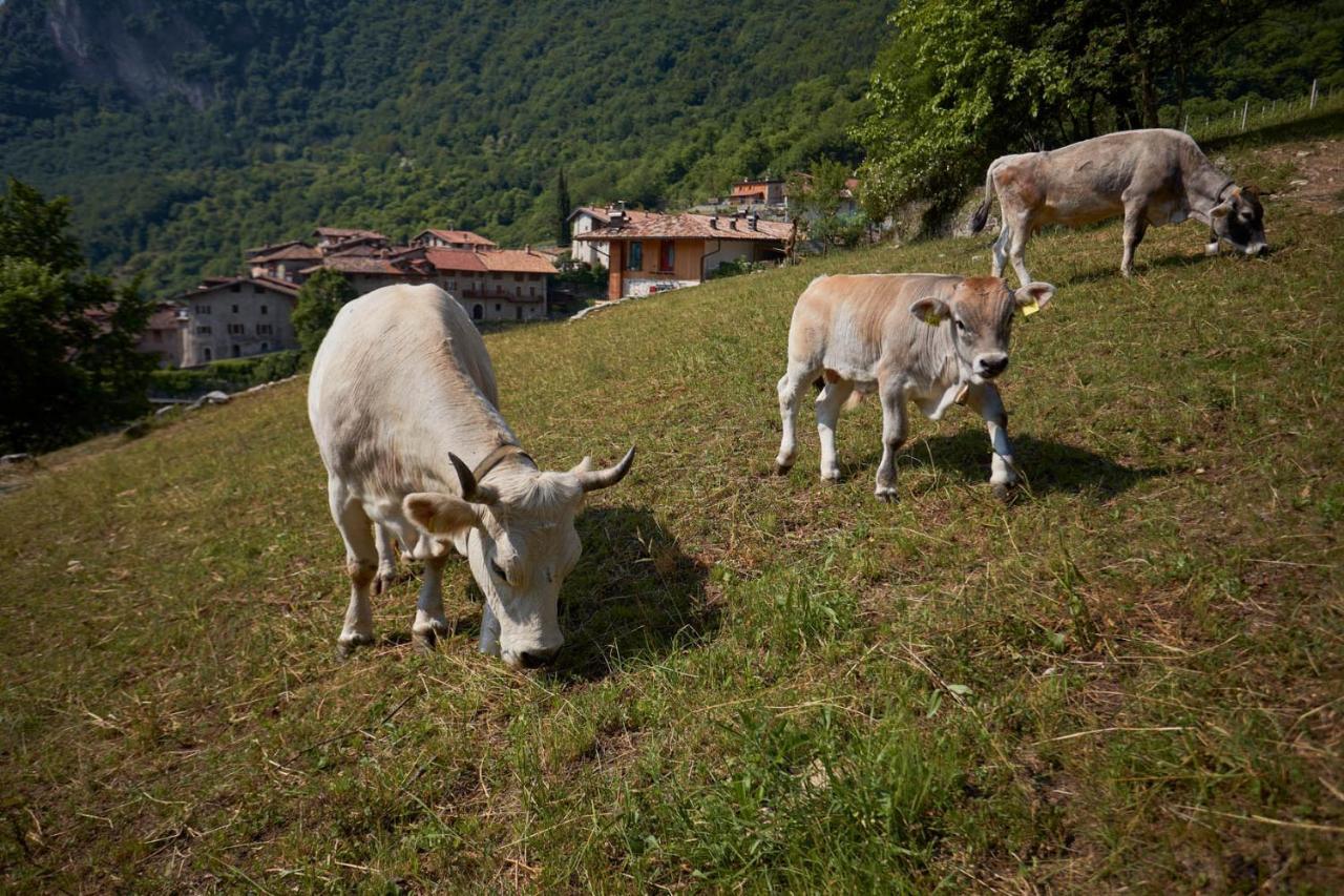 Le Terre Di Gu Villa Tenno Buitenkant foto